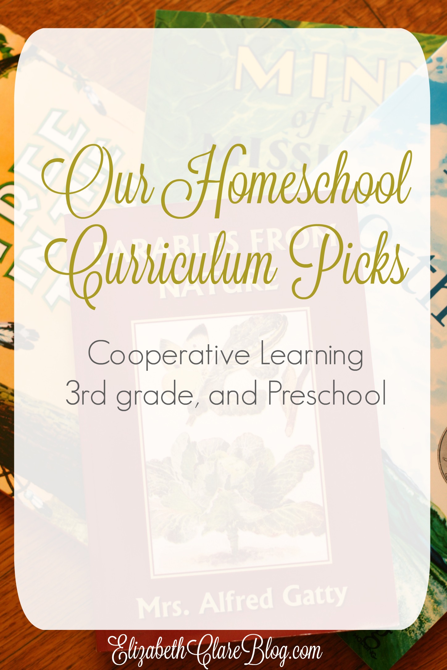 2015-16 Homeschool Curriculum Plan