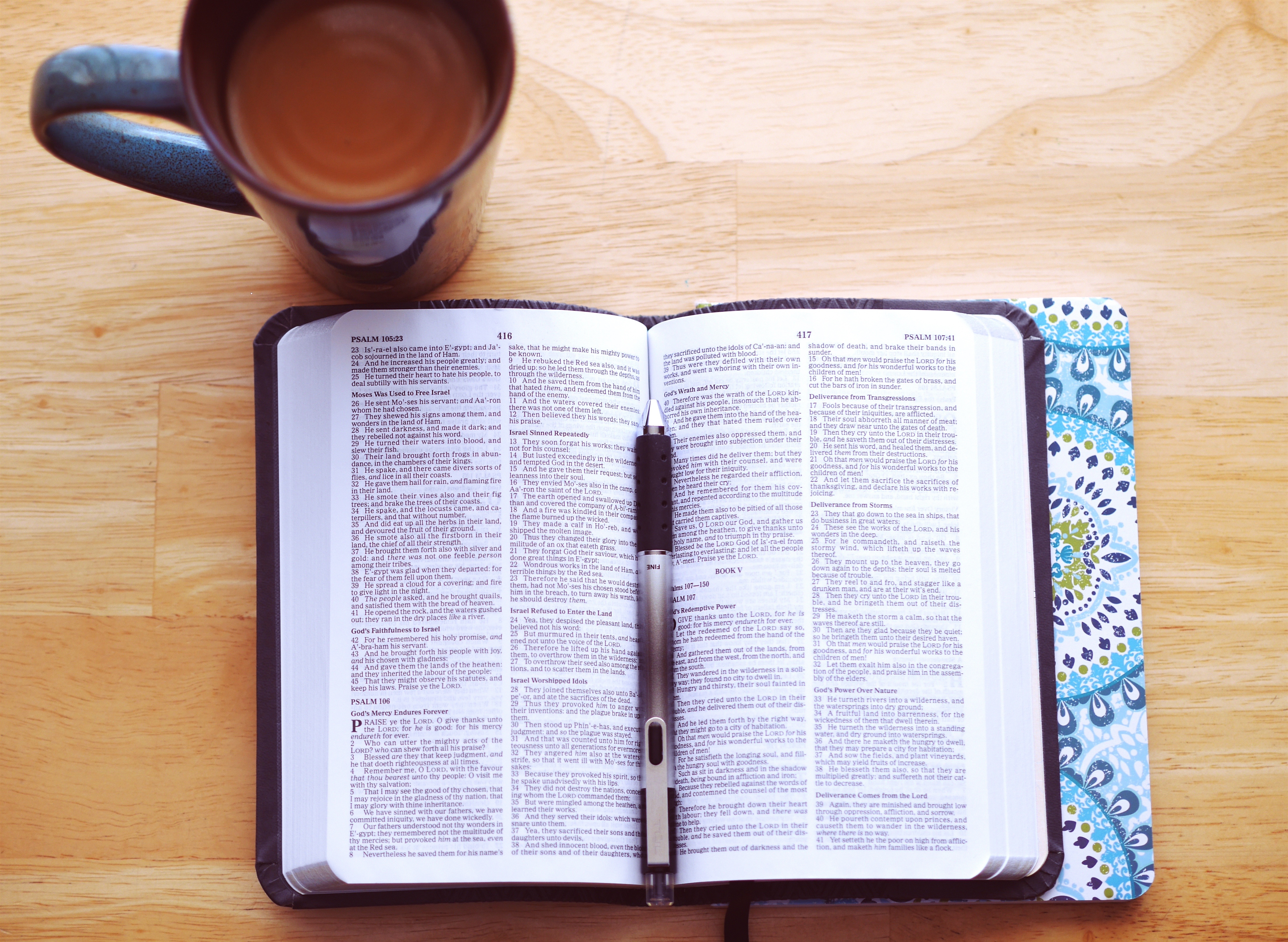Bible Study Resources for the Everyday {Catholic} Mom
