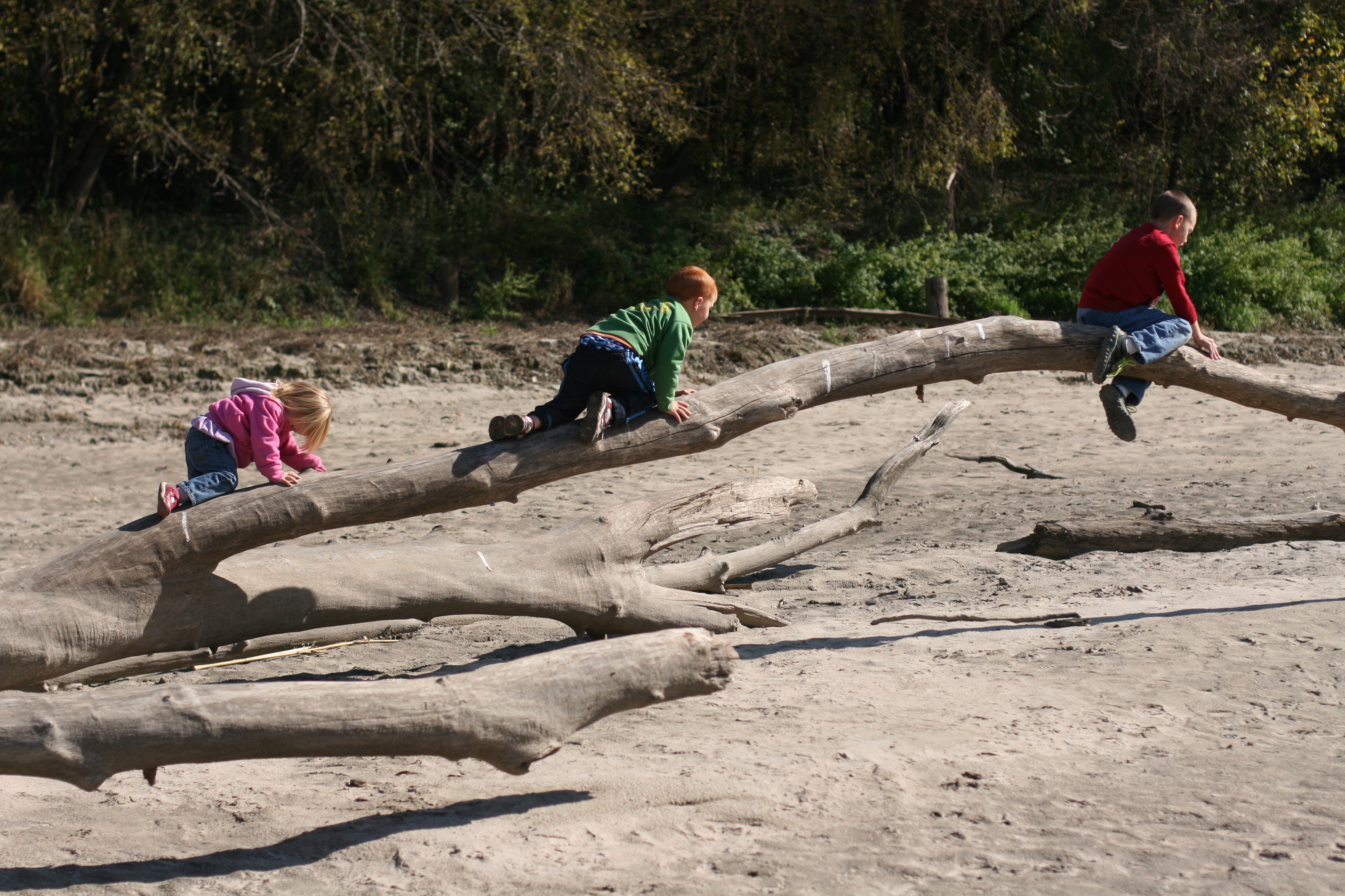 Summer Schooling using a Boxed Curriculum