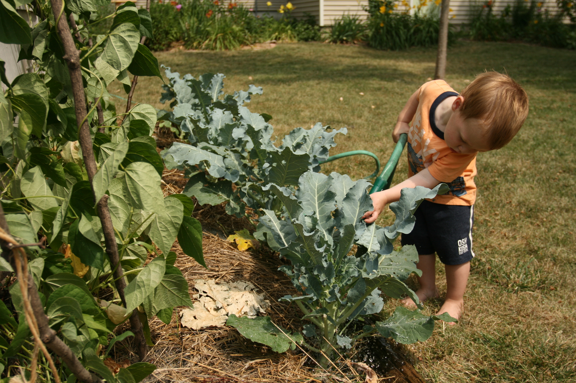 Garden Tour:  2017 Edition