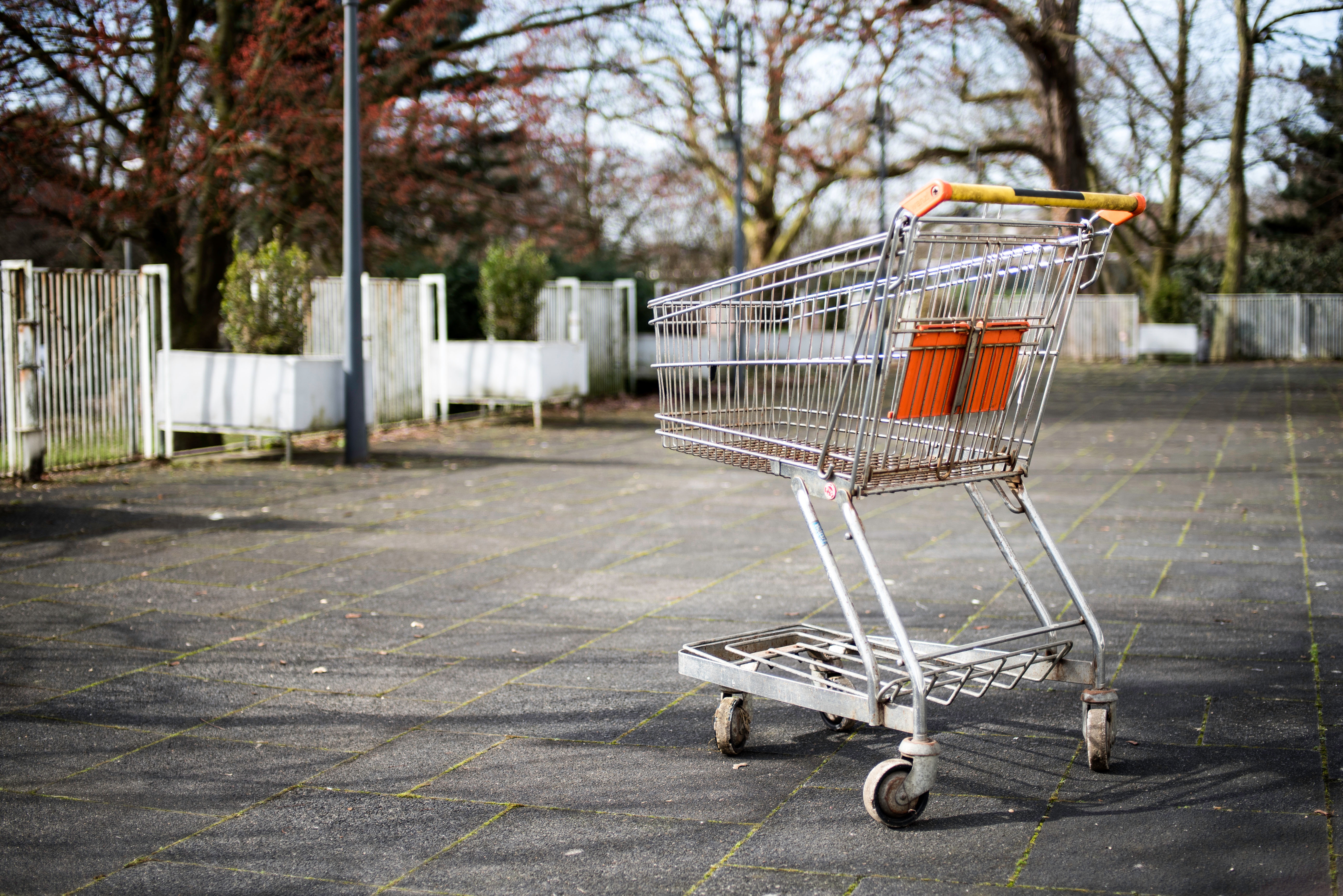 Grocery Budget for a Family of 6