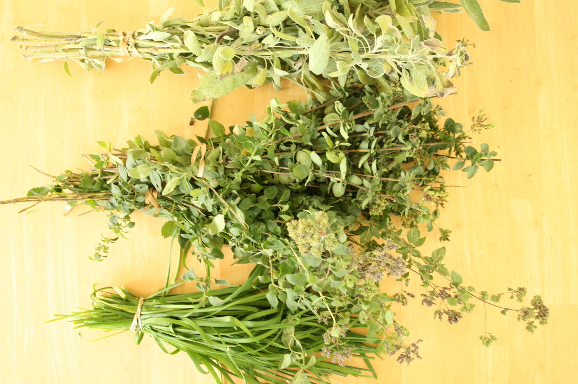 Drying Herbs:  An Easy How-to for the Hurried Homemaker