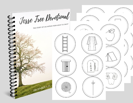 jesse tree coloring pages