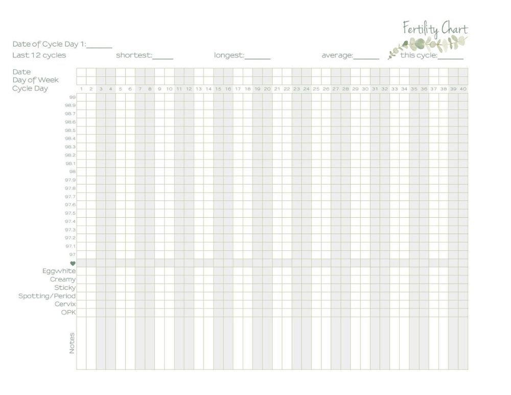 Natural Family Planning Printable Chart Elizabeth Clare